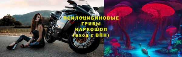 ГАЛЛЮЦИНОГЕННЫЕ ГРИБЫ Каменка