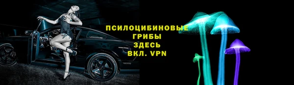 ГАЛЛЮЦИНОГЕННЫЕ ГРИБЫ Каменка