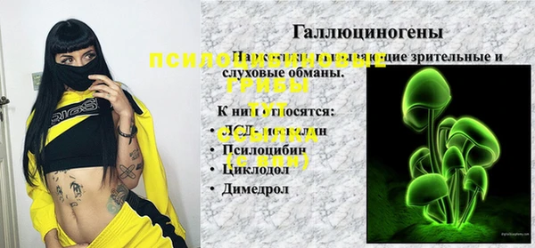 ECSTASY Карпинск