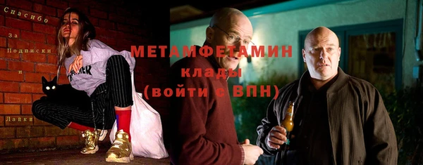 ГАЛЛЮЦИНОГЕННЫЕ ГРИБЫ Каменка