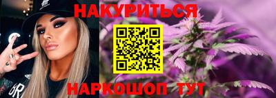 стаф Гудермес