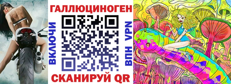Псилоцибиновые грибы Psilocybe  Киржач 