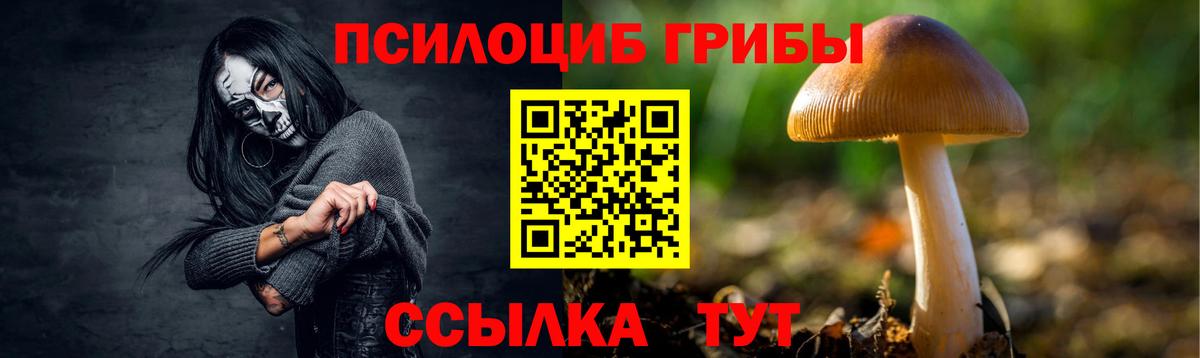 Галлюциногенные грибы GOLDEN TEACHER Киржач